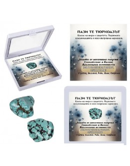 Полускъпоценен естествен камък – талисман в рамка (различни видове)